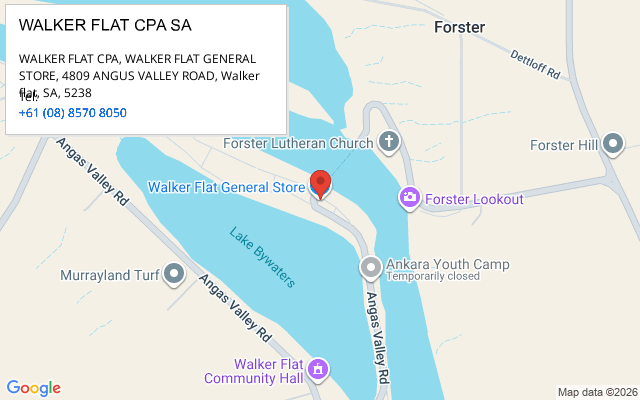 WALKER FLAT CPA SA