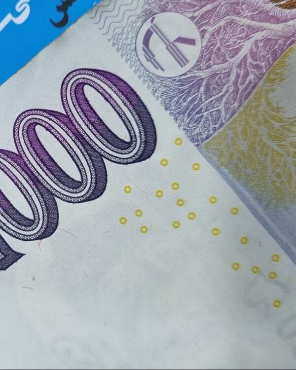 Czech 1000 koruna banknote in macro view highlighting currency details.