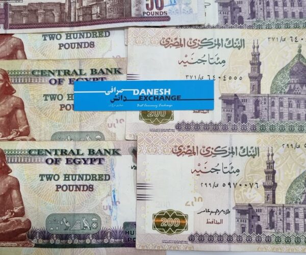 Grouped Egyptian pound notes in 200 denominations. Grouped Egyptian pound notes in 200 denominations.