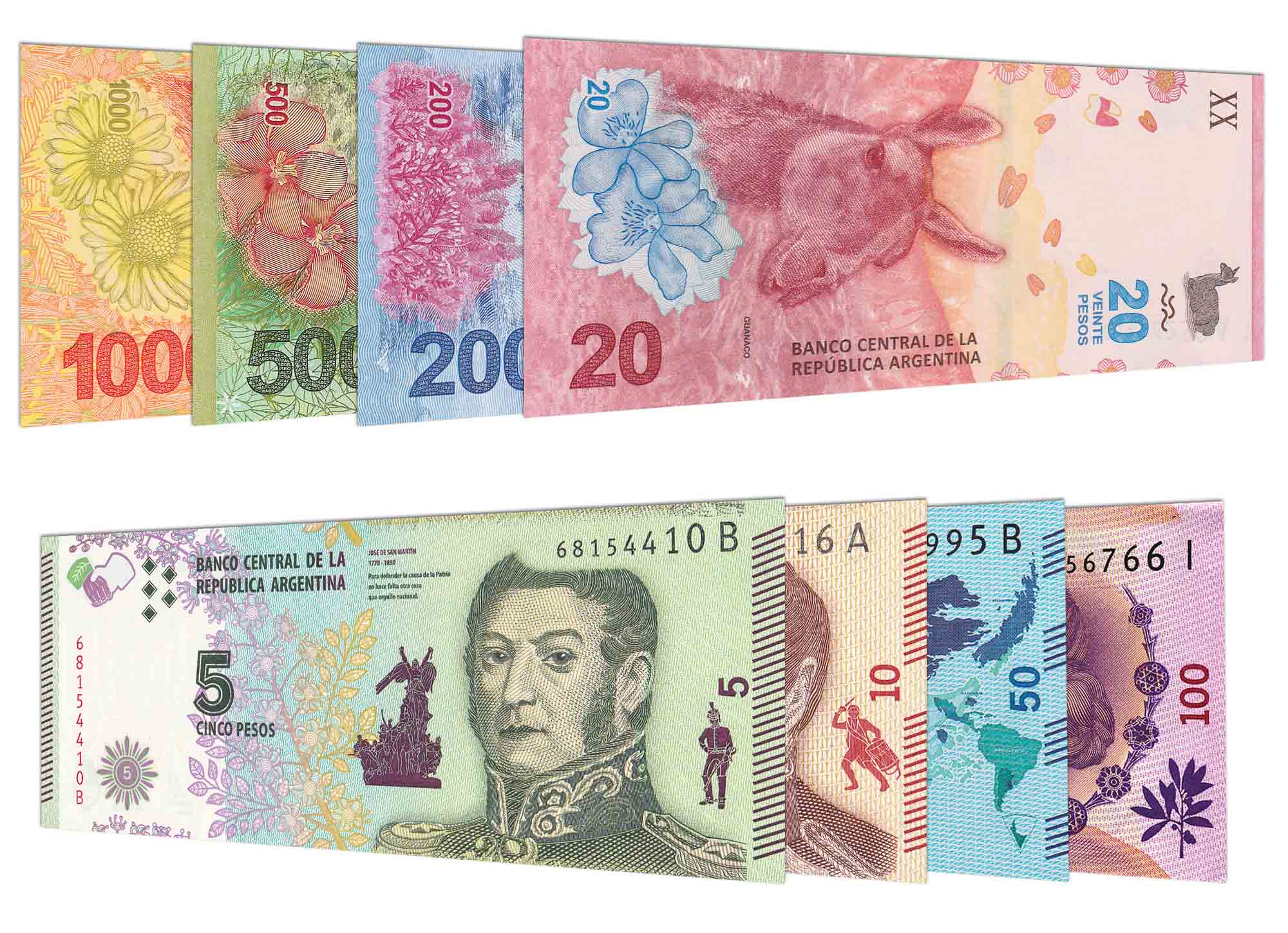 Argentine peso notes featuring 1000, 500, 200, 20, 100, 50, 10, and 5 ARS denominations.