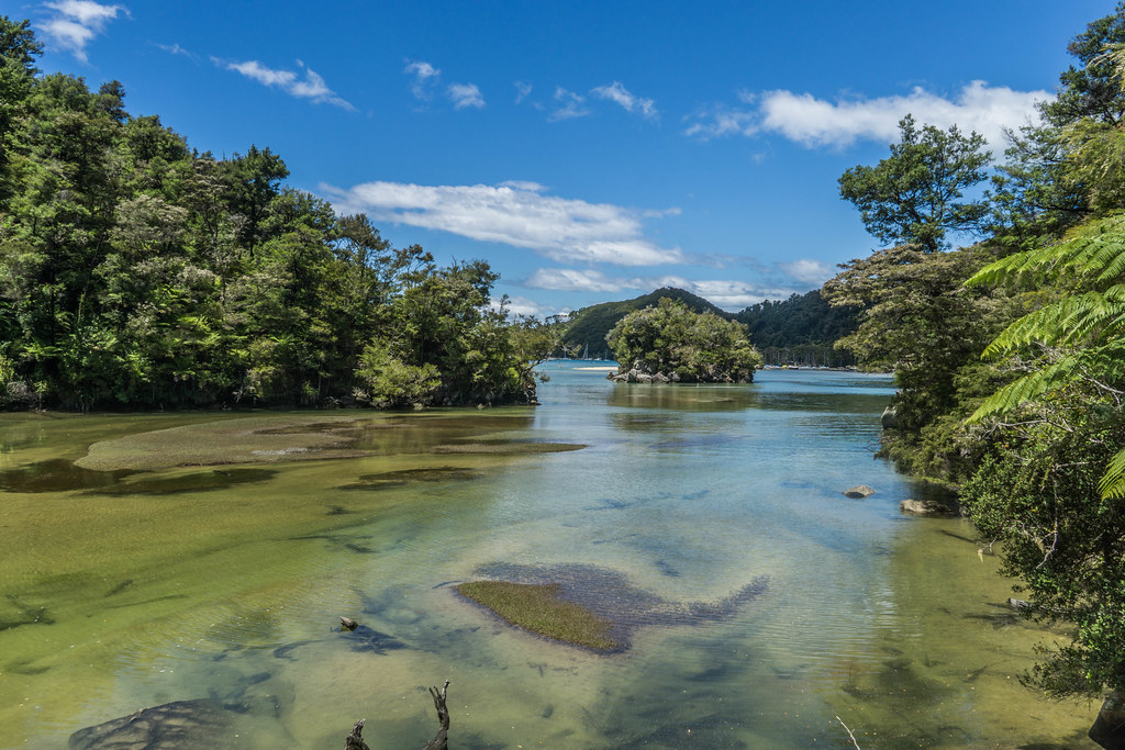 Nelson & Abel Tasman National Park