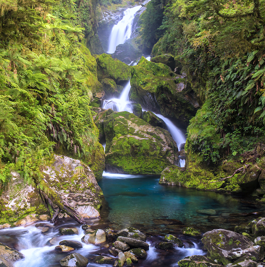 Fiordland National Park