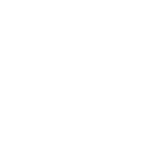 Fast Processing 