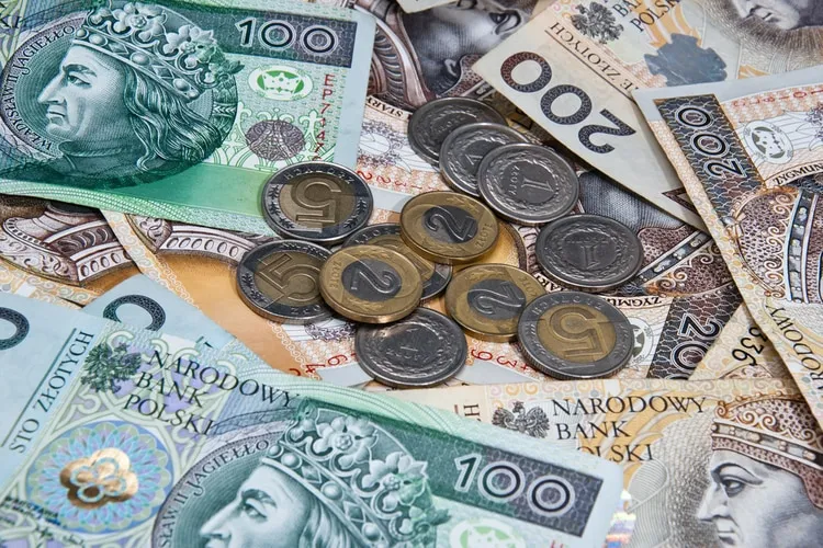 polish-currency