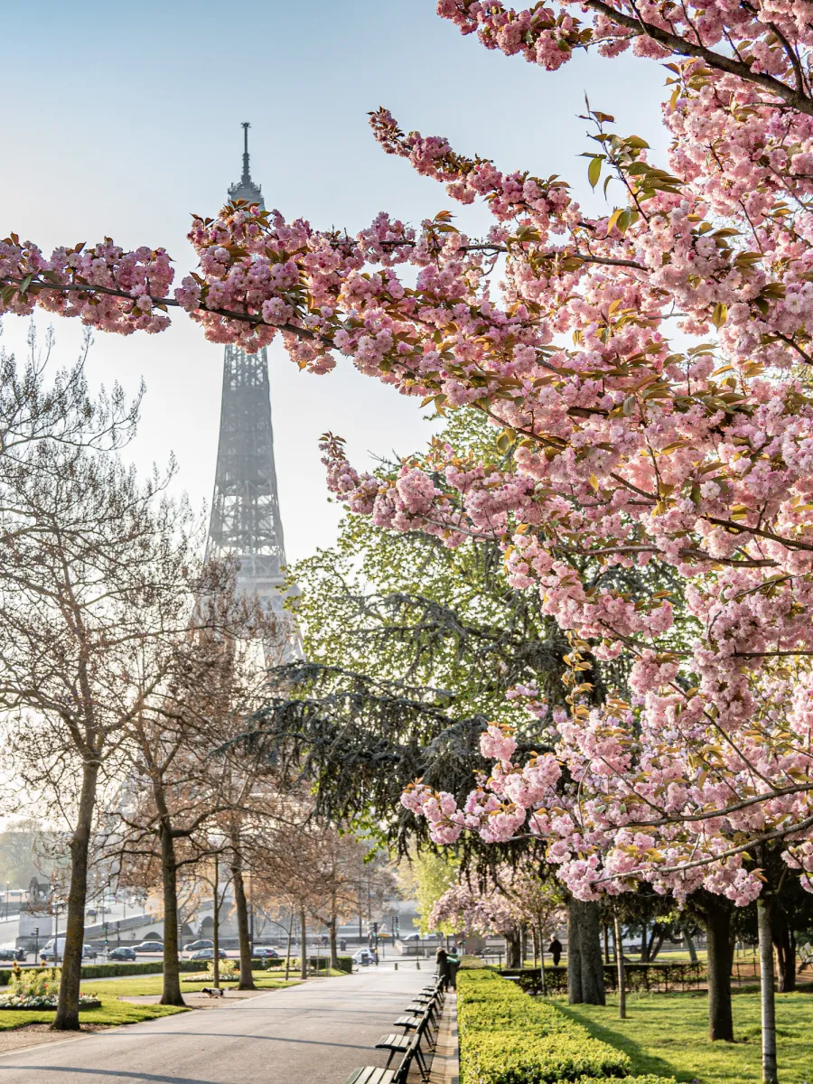 Paris
