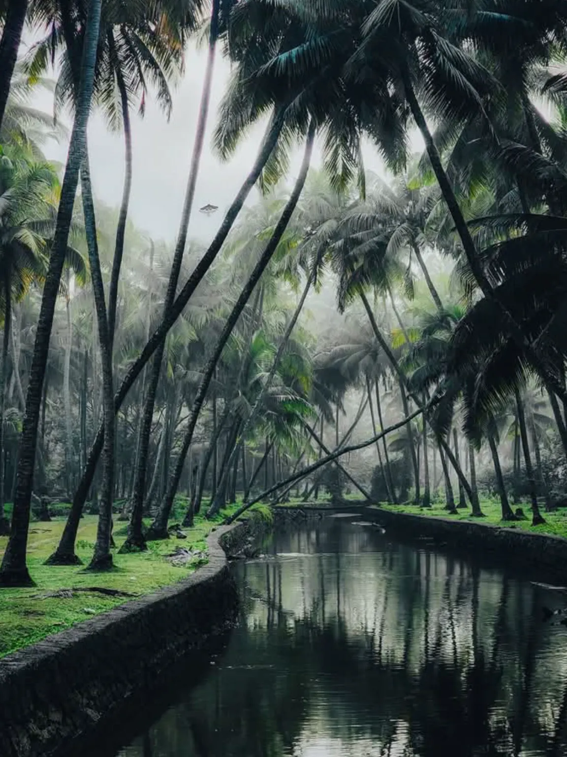 Kadavu