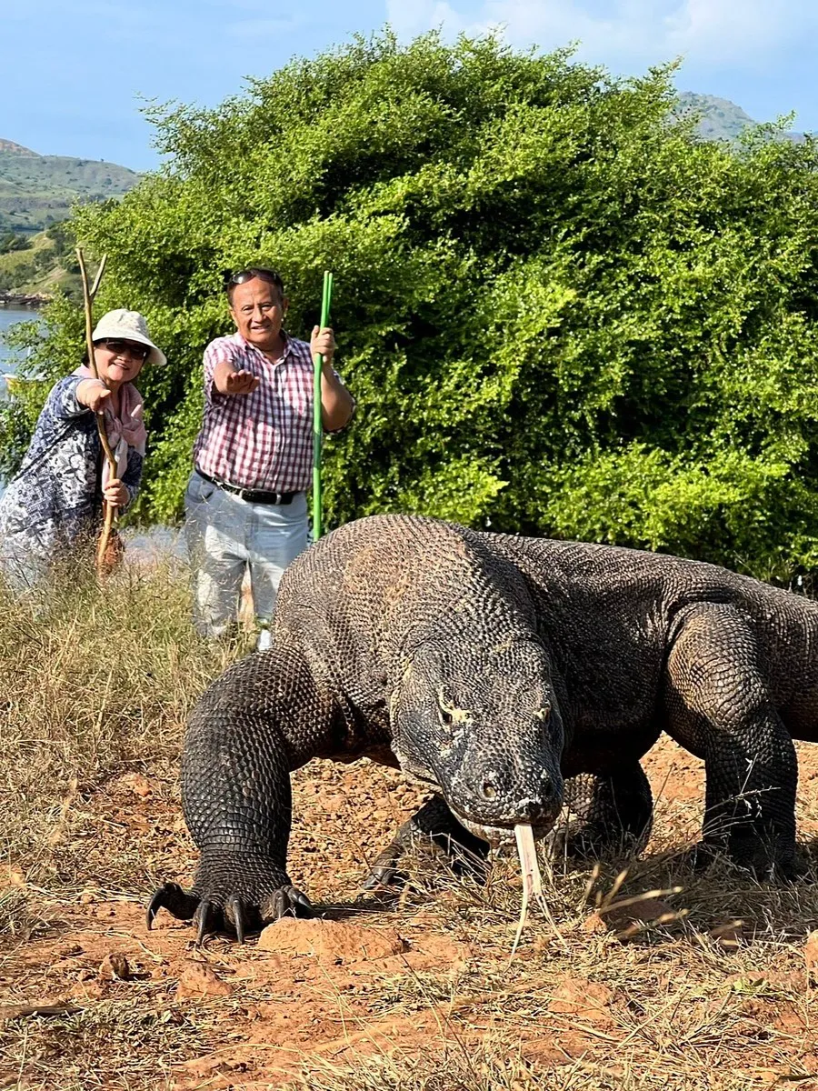 Komodo Island