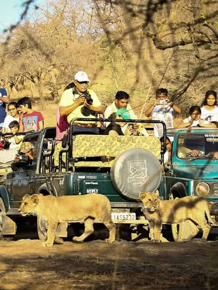 Gir National Park