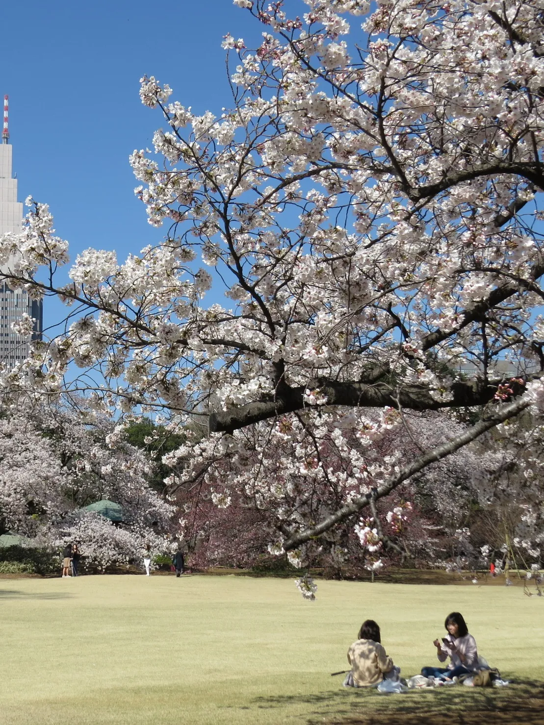 Tokyo