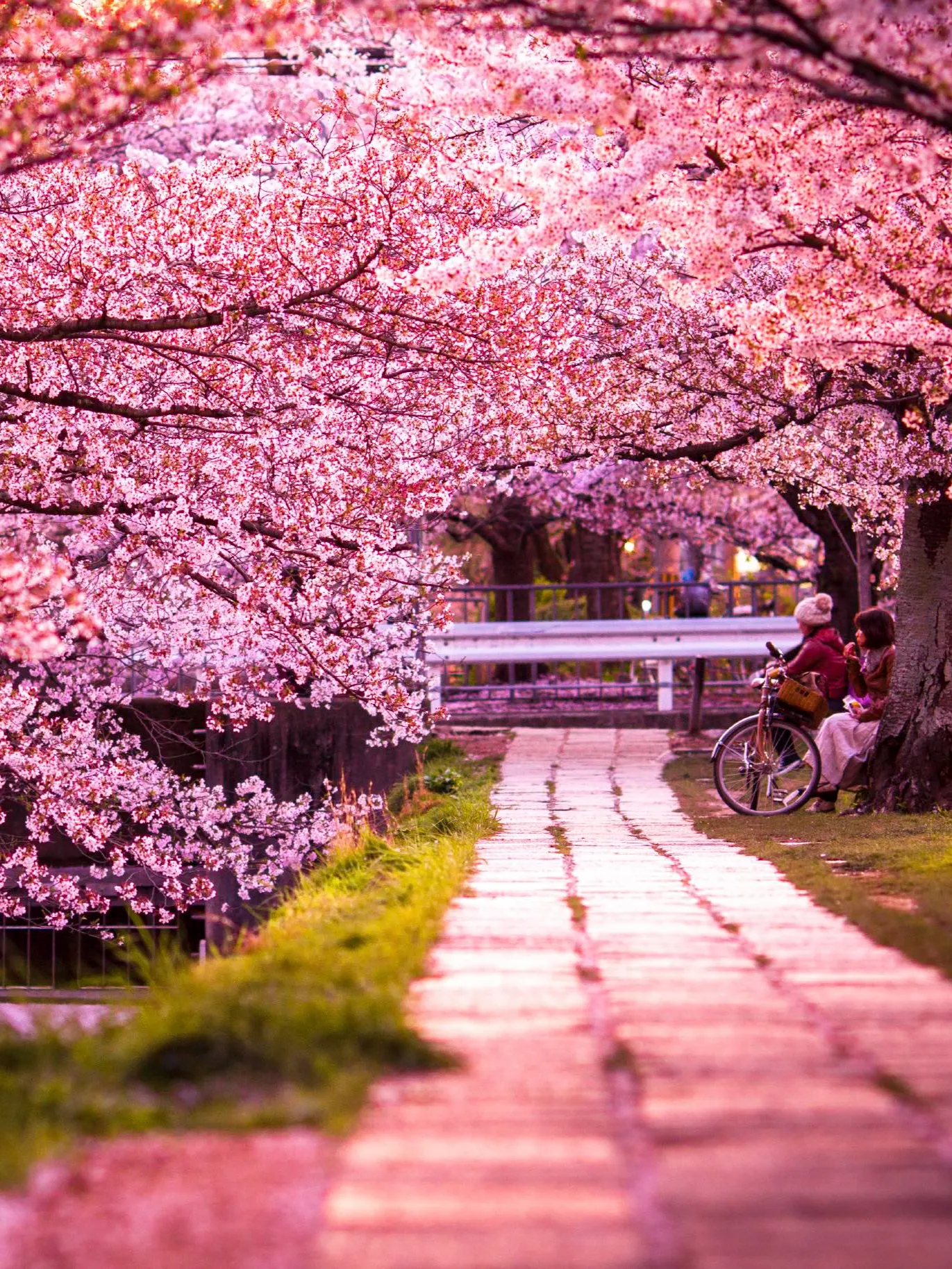 Kyoto