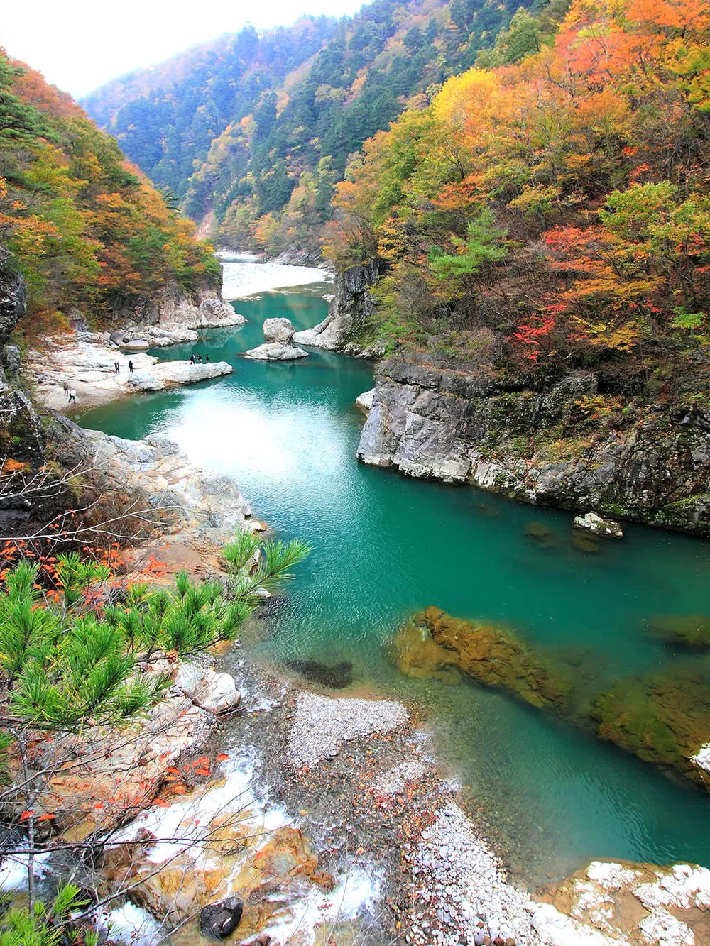 Nikko