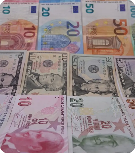 Wide Range of Currencies
