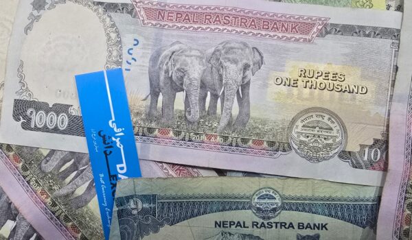 Mixed Nepalese 1000‑rupee banknotes featuring elephant designs arranged together. Mixed Nepalese 1000‑rupee banknotes featuring elephant designs arranged together.