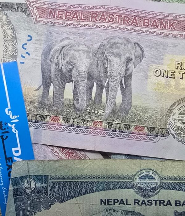 Mixed Nepalese 1000‑rupee banknotes featuring elephant designs arranged together. Mixed Nepalese 1000‑rupee banknotes featuring elephant designs arranged together.