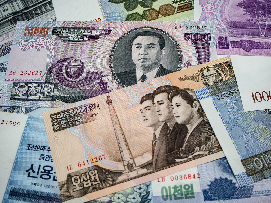 48085888817_989dbc2bb9_b (1)