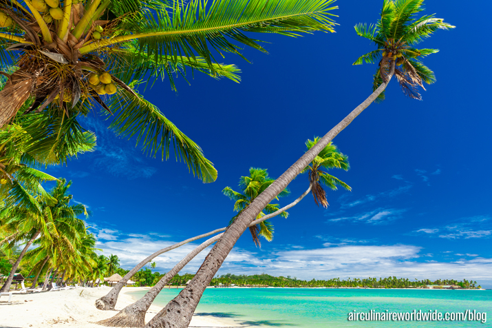 Send Money to Fiji with Danesh Exchange