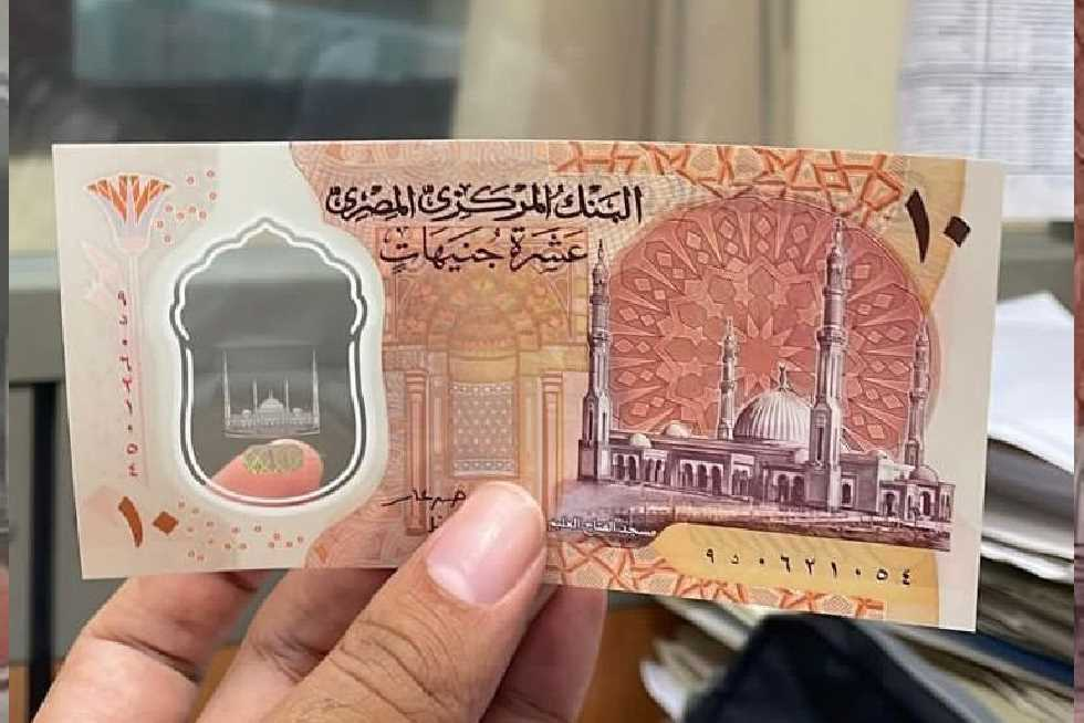 Send money to Egypt with Danesh Exchange Send money to Egypt with Danesh Exchange